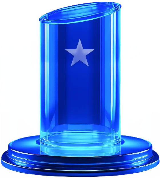 Platform Implementation Trophy